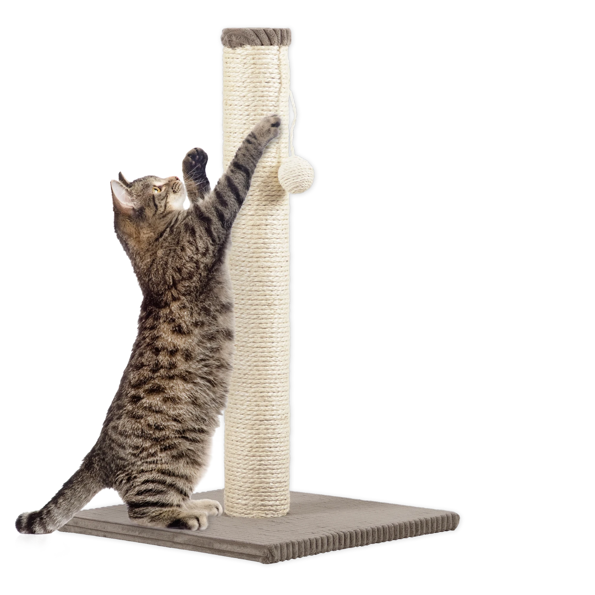 Rohrschneider RS 22384 Katzenbaum Stamm Cord – Kratzbaum mit Spielkugel GR.1