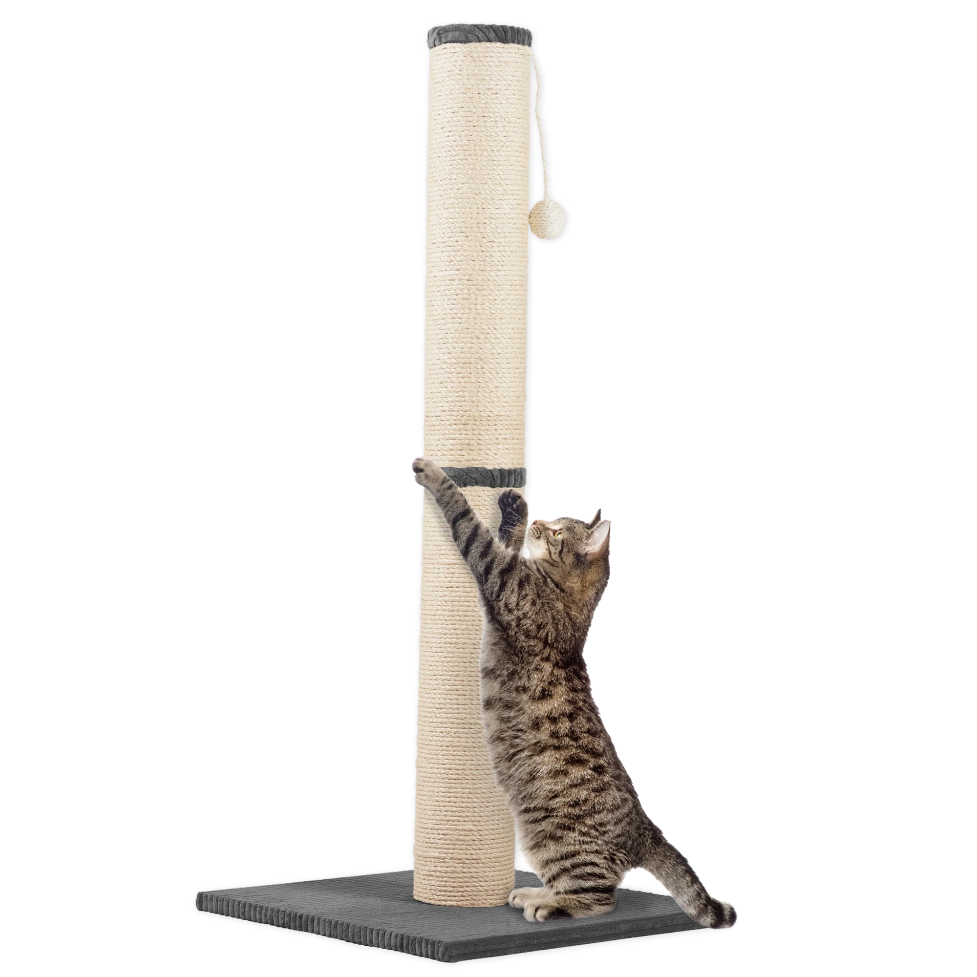 Rohrschneider RS 22387 Katzenbaum XL Stamm Cord – Kratzbaum mit Spielkugel GR.2