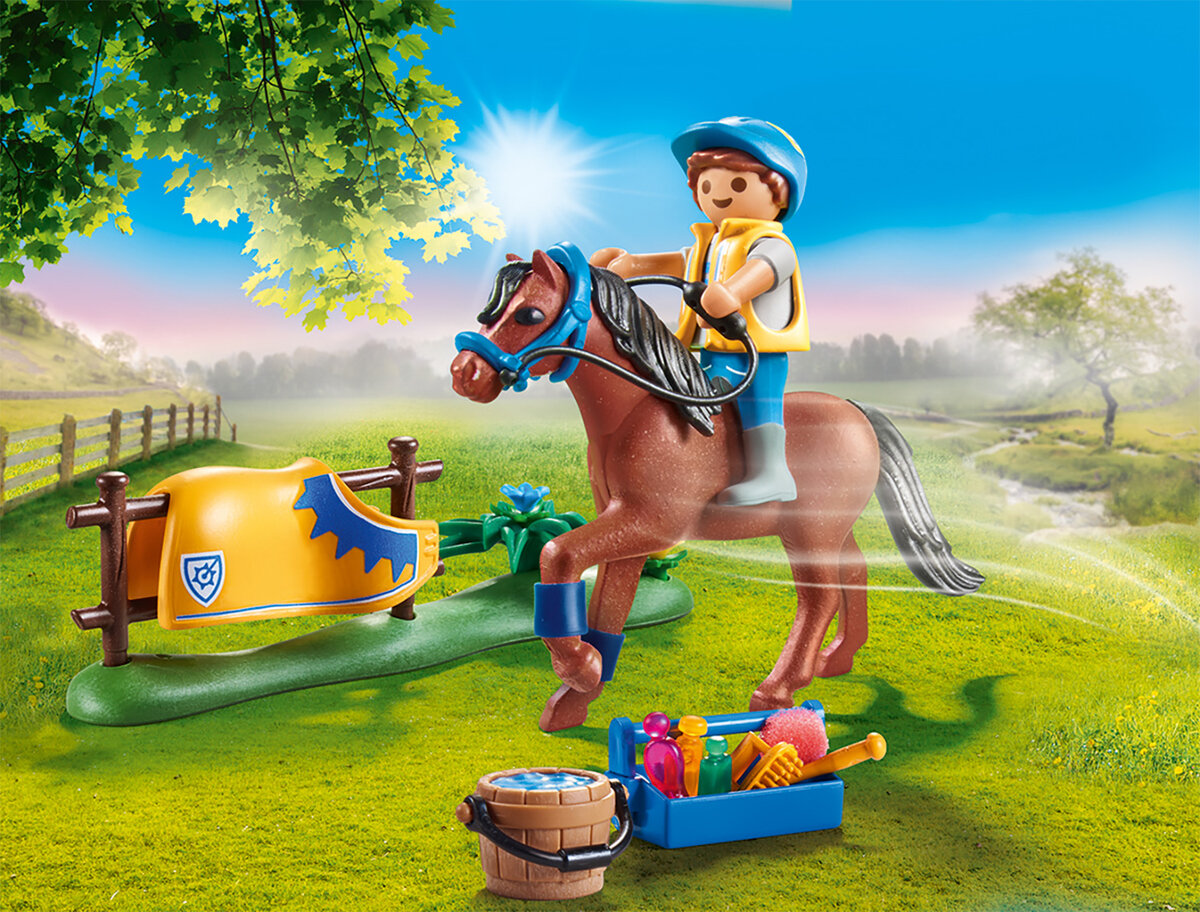 Gras, Person, Spielbereich, Draußen, Pferd