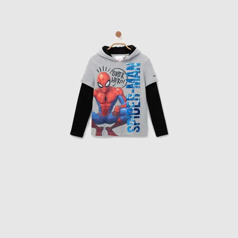 Desigual Jungen Pullover „Moore“ - Grau 20SBSK05