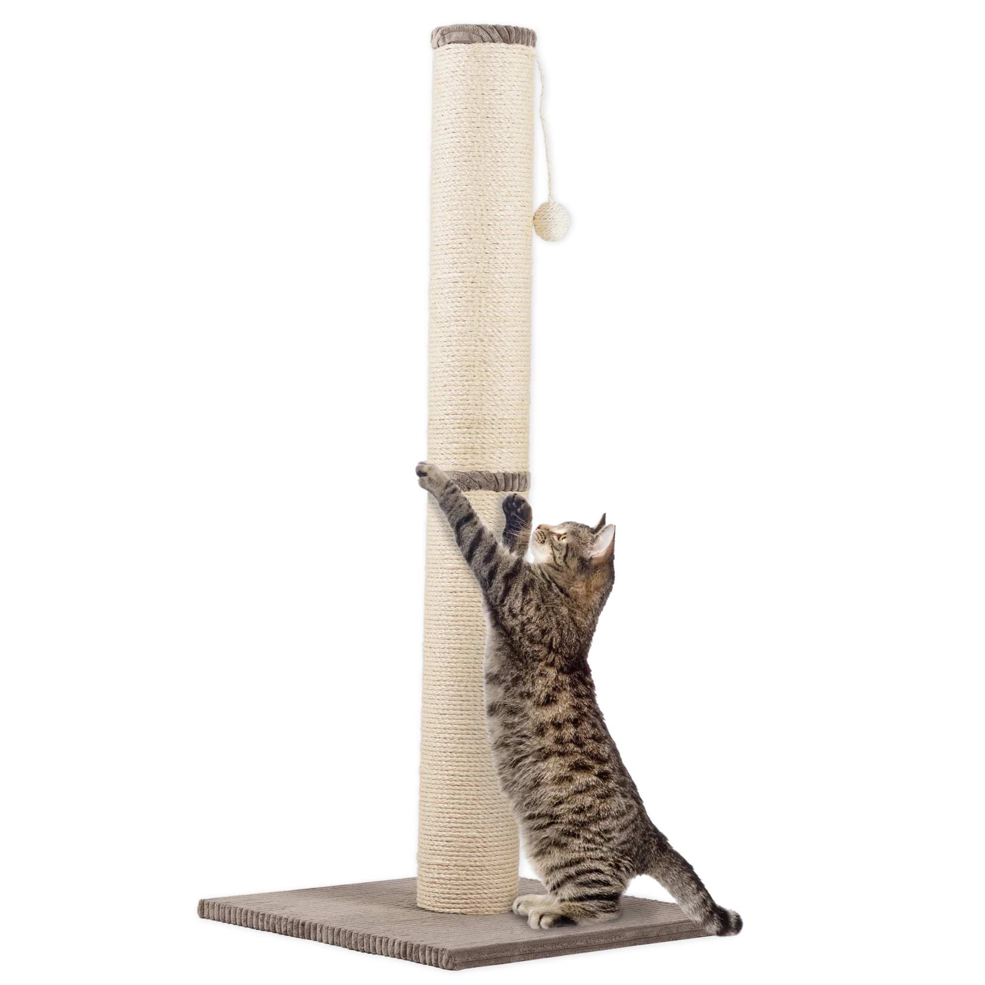 Rohrschneider RS 22387 Katzenbaum XL Stamm Cord – Kratzbaum mit Spielkugel GR.2