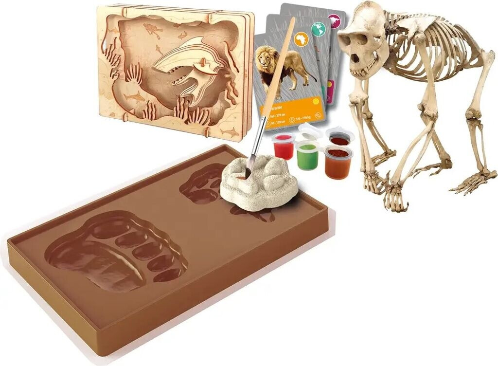 Entdeckungs-Set ''Tiere auf unserer Erde