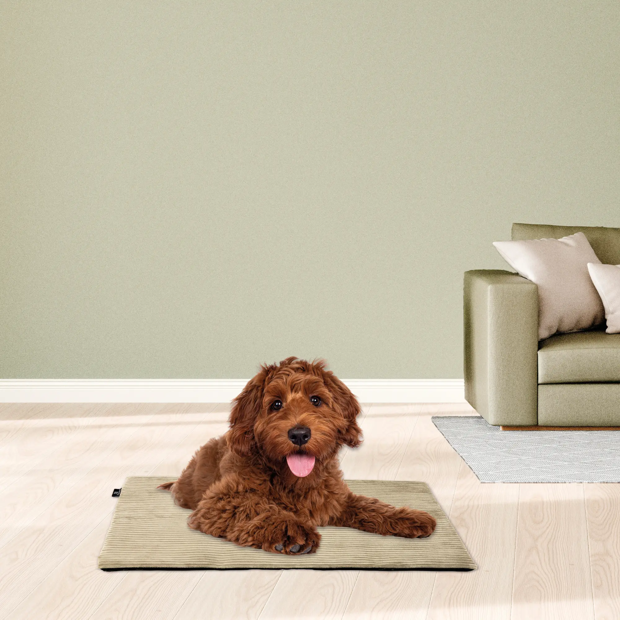 Rohrschneider RS 22389 Hanfmatte Cordbezug – Naturmatte mit Bezug GR.1