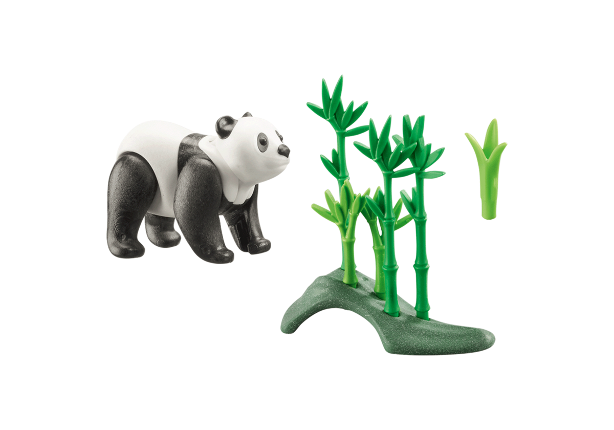 Figur, Bär, Säugetier, Tierwelt, Pflanze