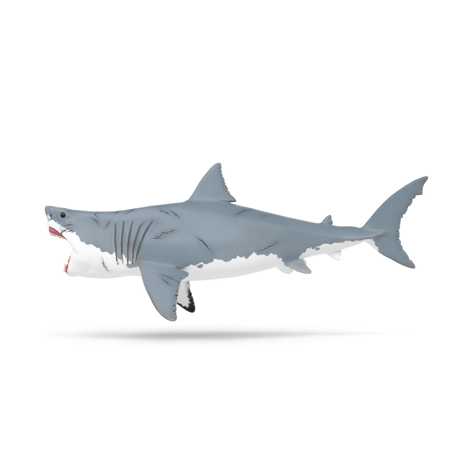 Produktfoto - Schleich - Megalodon - Modell SCHLEICH 15055 Produktbild fuer Online-Shop