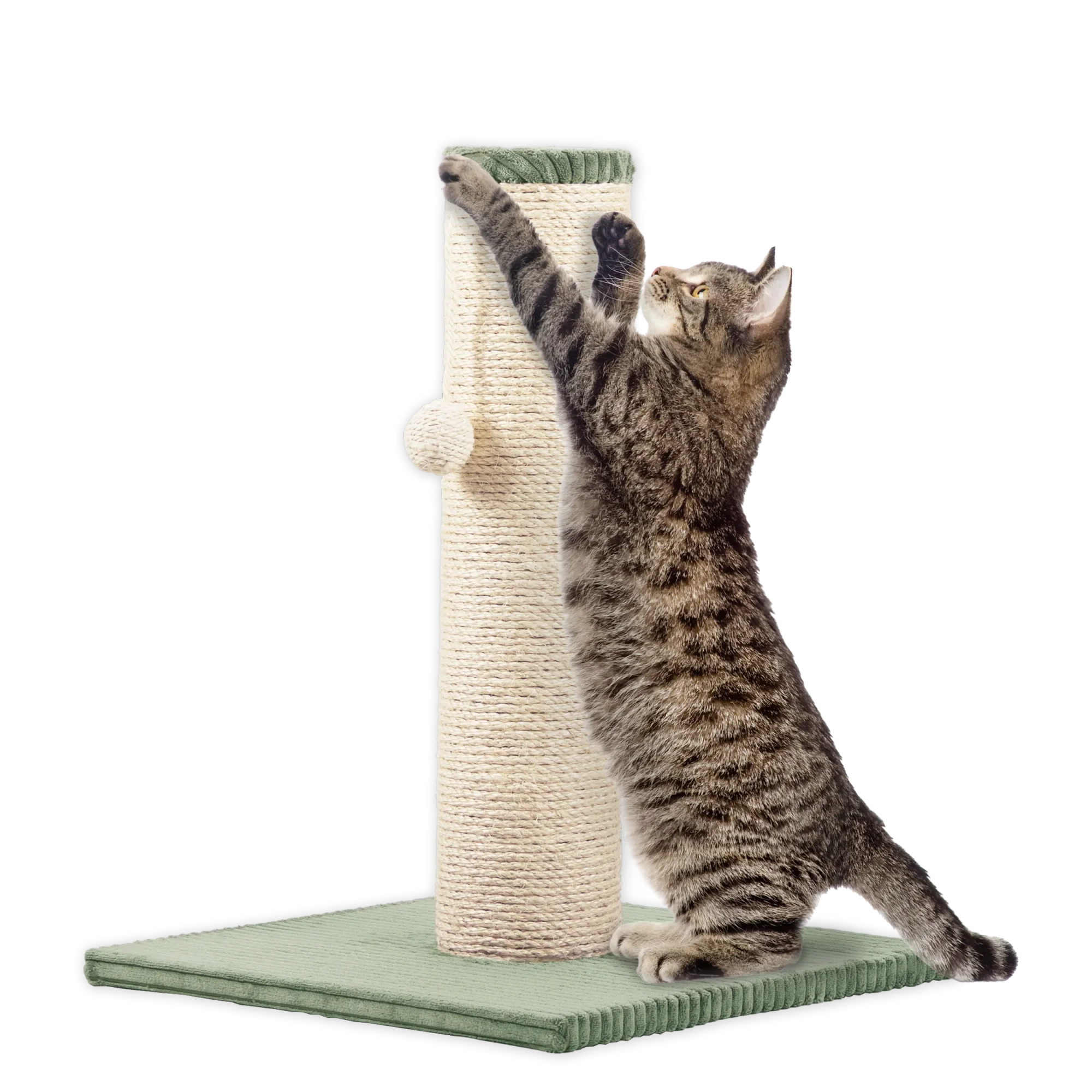 Rohrschneider RS 22386 Katzenbaum XL Stamm Cord – Kratzbaum mit Spielkugel GR.1