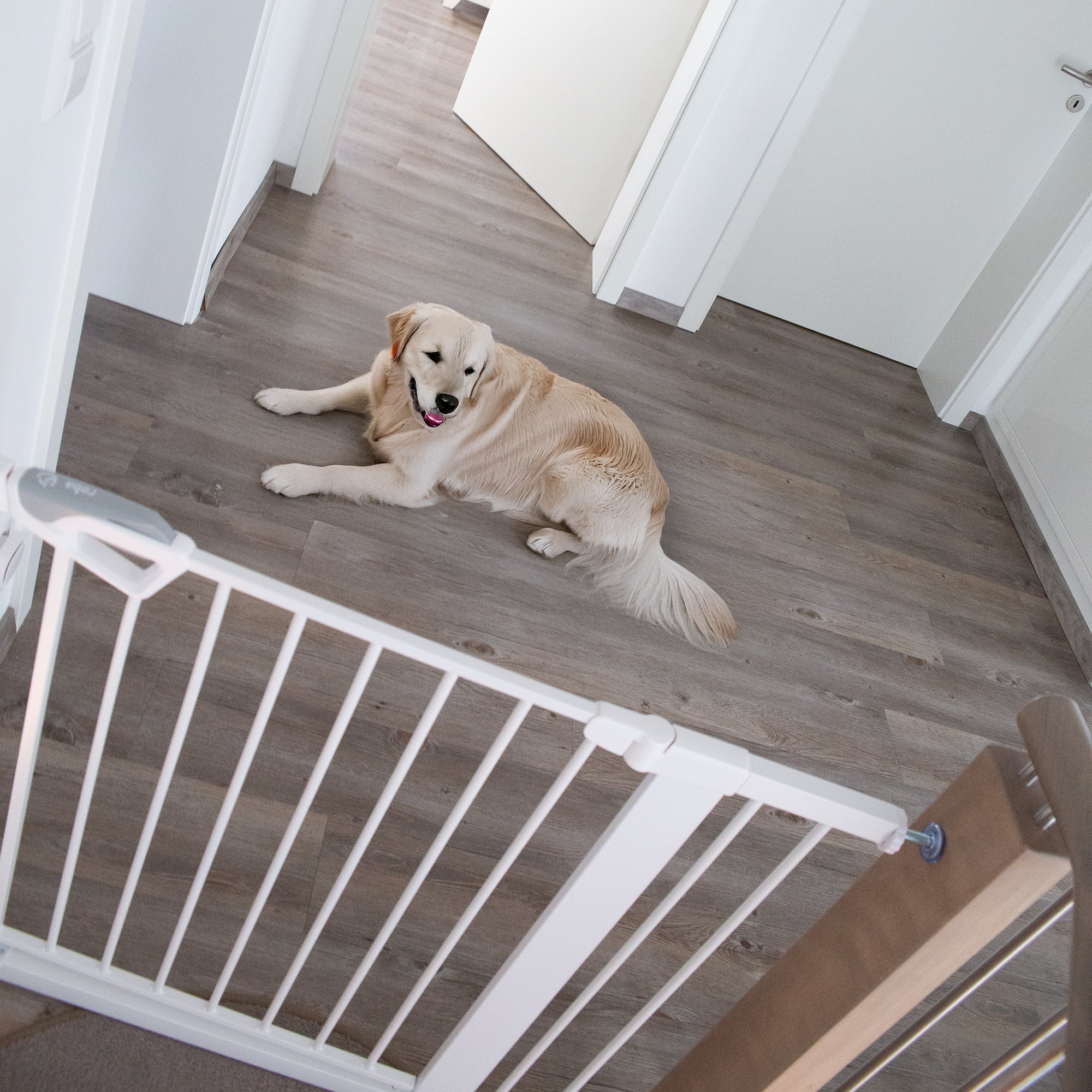 Roba 215047WE Türschutzgitter Metall weiß - Produktbild 11