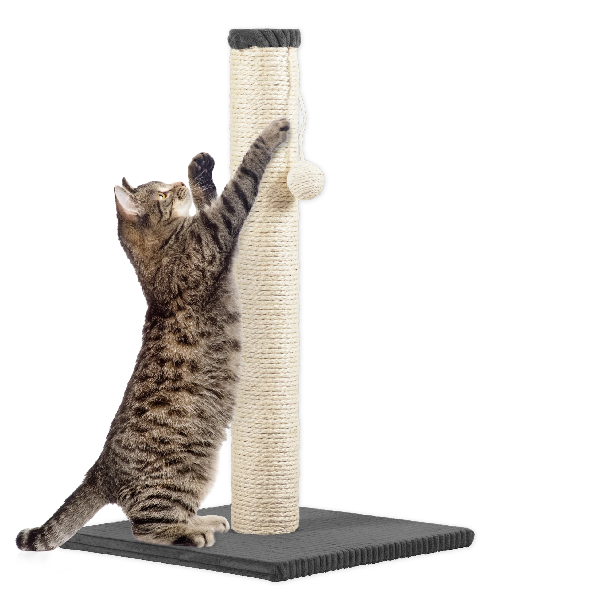 Rohrschneider RS 22384 Katzenbaum Stamm Cord – Kratzbaum mit Spielkugel GR.1
