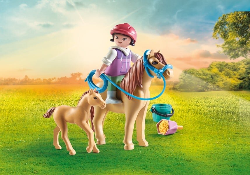 Helme, Gras, Pflanze, Pferd, Person