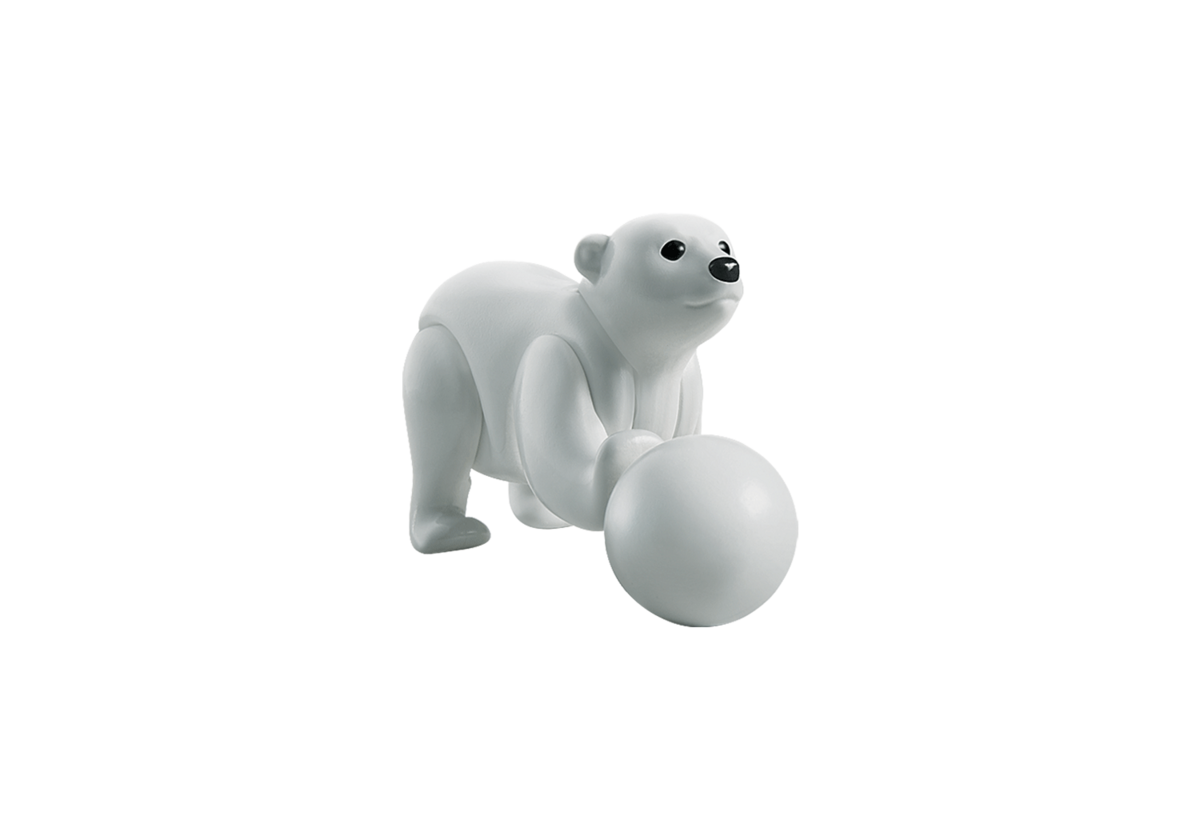 Tier, Bär, Säugetier, Tierwelt
