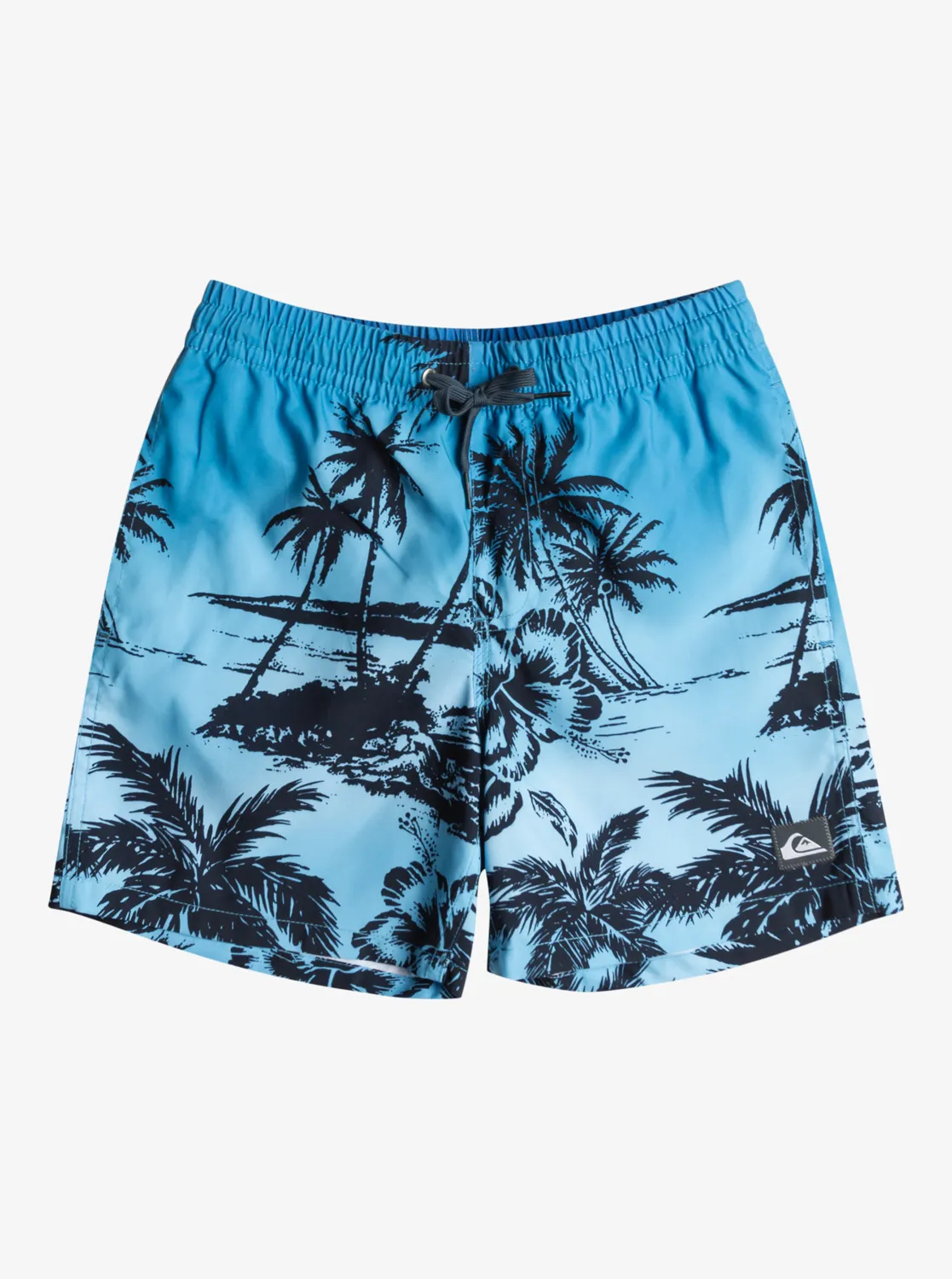 Quiksilver Everyday Paradise 14" - Schwimmshorts für Jungen 8-16 Blau GR. XL