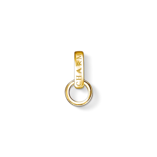 Thomas Sabo Anhänger Charm-Club Carrier 925 Sterling silber Vergoldet Gelbgold X0248-413-39 Thomas, Sabo, Anhänger, Charm-Club, Carrier, 925, Sterling, silber, Vergoldet, Gelbgold, X0248-413-39, Schatz, Zubehör, Gold, Schmuck, Ohrring