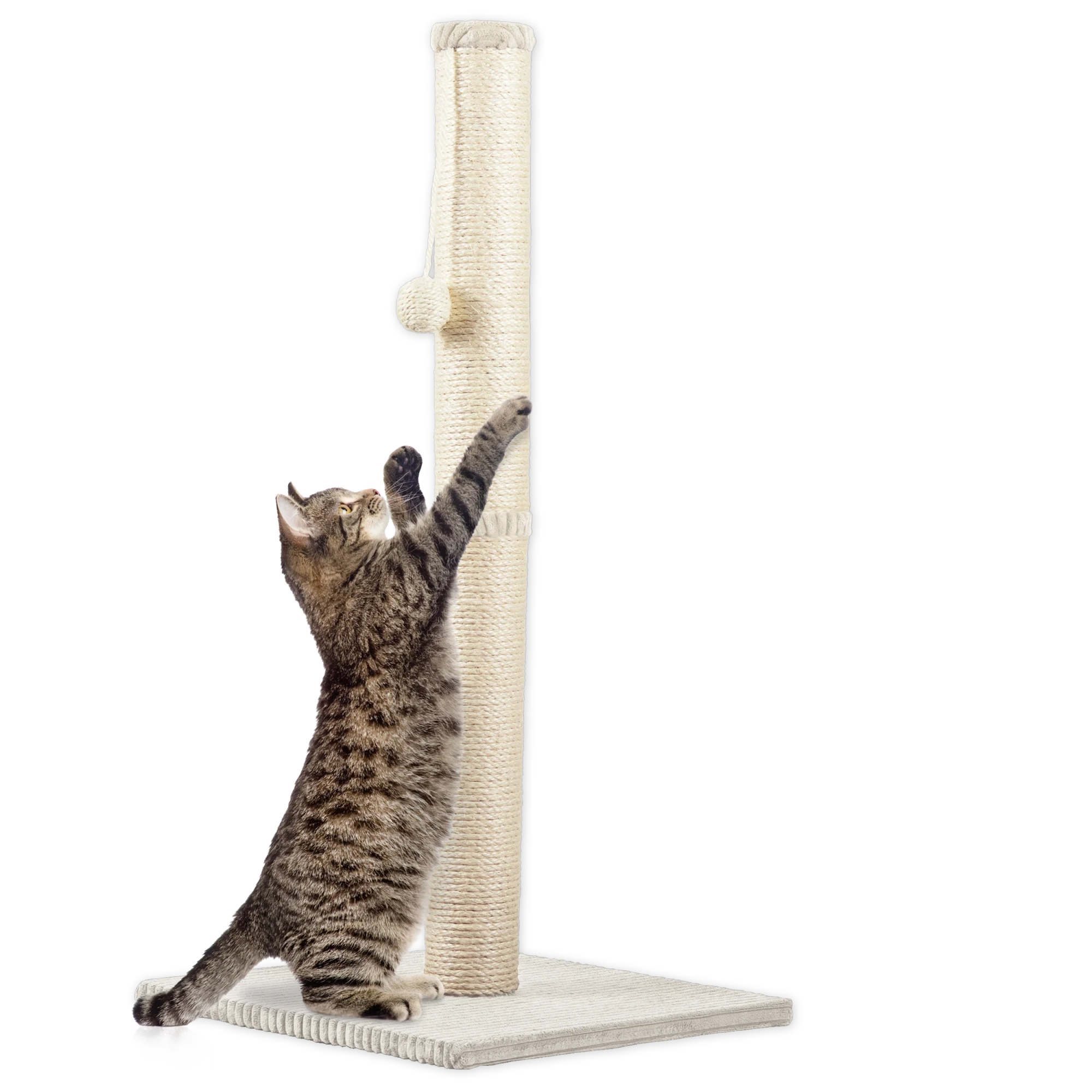 Rohrschneider RS 22385 Katzenbaum Stamm Cord – Kratzbaum mit Spielkugel GR.2