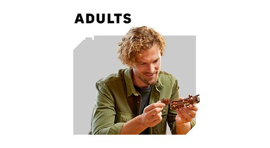lego_adults_kategori1