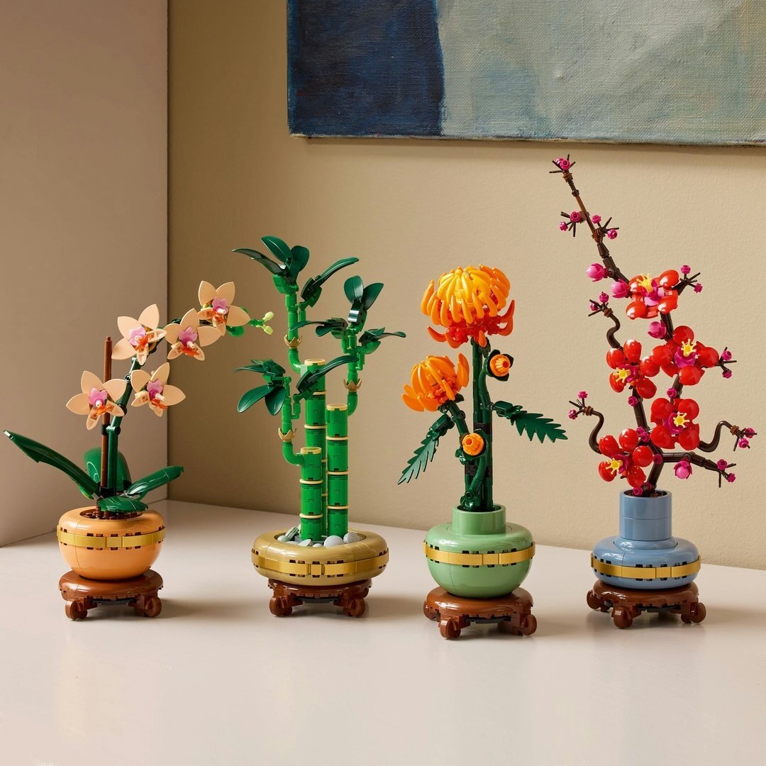 Blume, Blumen-Arrangement, Pflanze, Ikebana