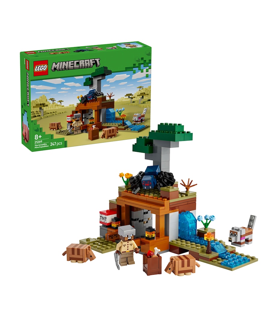 LEGO® Minecraft™  21269 Die Expedition zur Gürteltiermine