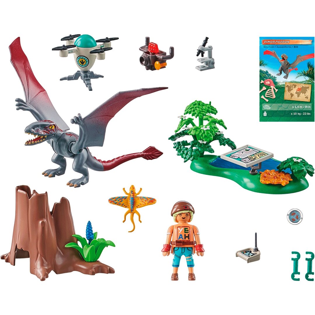 Spielzeug, Person, Dinosaurier, Figur, Pflanze